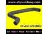 Kühlerschlauch Radiator Hose:6012030682